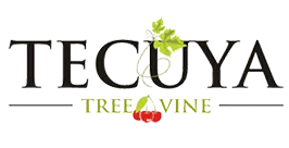 Tecuya Tree and Vine